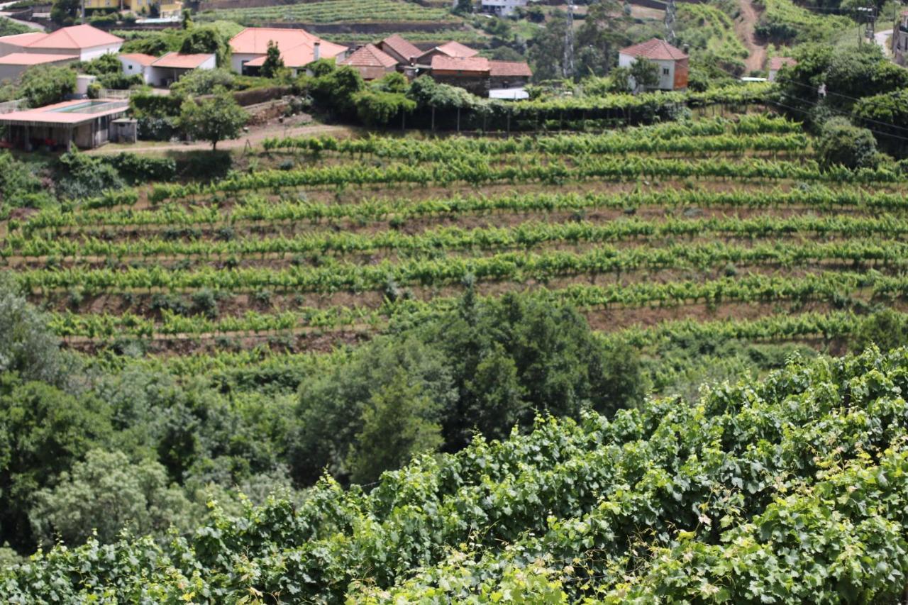 Quinta Das Fontainhas Mesao Frio Bagian luar foto